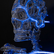 Image for article titled This life-size glass skeleton is illuminated by krypton